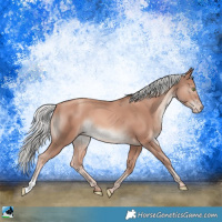 Horse Color:Gold Champagne Mushroom 