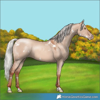 Horse Color:White Spotted Silver Sable Champagne Dun 