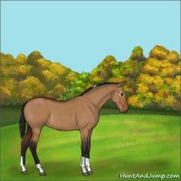 Horse Color:Gray Bay Roan Dun Tobiano 