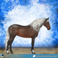 Horse Color:Liver Chestnut Mushroom 