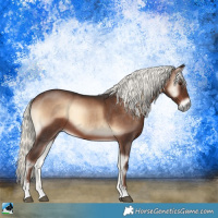 Horse Color:Liver Red Onyx Mushroom Sabino 