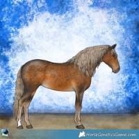 Horse Color:Chocolate Palomino Mushroom 