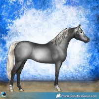 Horse Color:Gray Liver Chestnut Mushroom Rabicano 