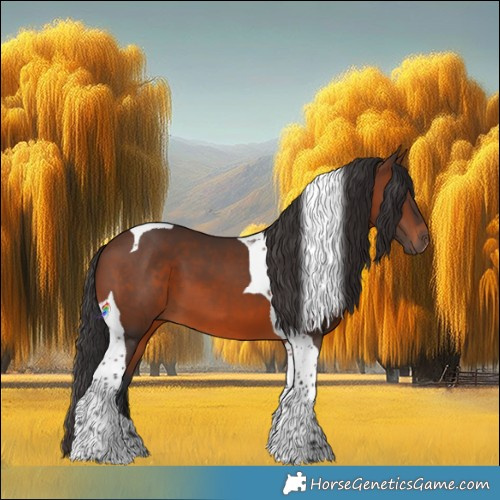 Horse Color:Brown Tobiano