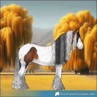 Horse Color:Brown Splash Tobiano 