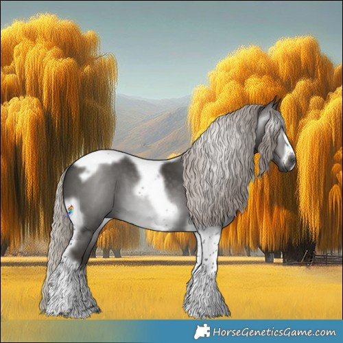 Horse Color:Gray Silver Black Tobiano Frame