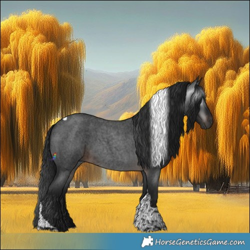 Horse Color:Gray Brown Roan Tobiano 