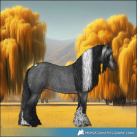 Horse Color:Gray Brown Roan Tobiano 