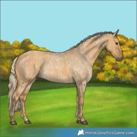 Horse Color:Silver Smoky Grullo Roan Rabicano  and Palomino Dun 