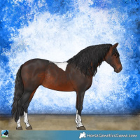 Horse Color:Brown Tobiano Rabicano
