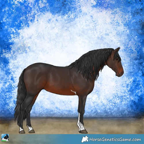 Horse Color:Brown Tobiano Rabicano