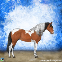 Horse Color:Brown Tobiano Rabicano