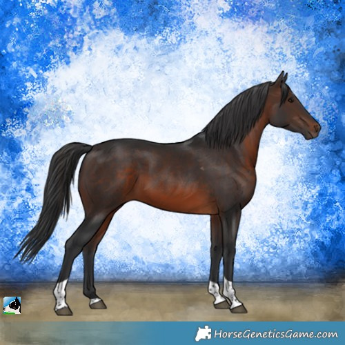 Horse Color:Brown Tobiano Rabicano 