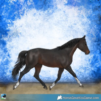 Horse Color:Brown Tobiano Rabicano