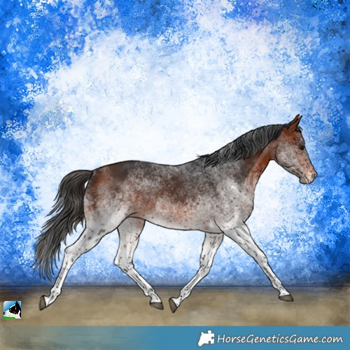 Horse Color:White Spotted Brown Tobiano Rabicano