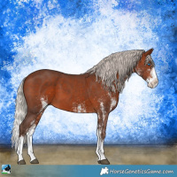 Horse Color:White Spotted Silver Brown Splash
