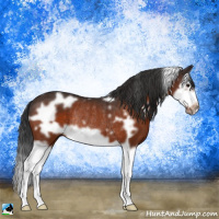 Horse Color:White Spotted Brown Splash Frame Rabicano 