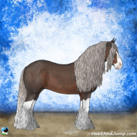 Horse Color:Silver Black Splash