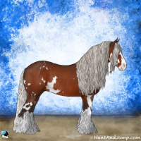 Horse Color:White Spotted Silver Brown Splash Rabicano 