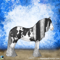 Horse Color:White Spotted Black Splash