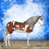 Horse Color:White Spotted Silver Brown Splash Rabicano