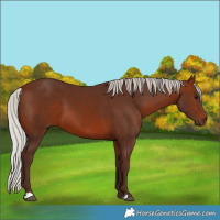Horse Color:Silver Bay