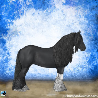 Horse Color:Black Tobiano Rabicano 