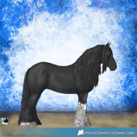 Horse Color:Black Tobiano Rabicano 