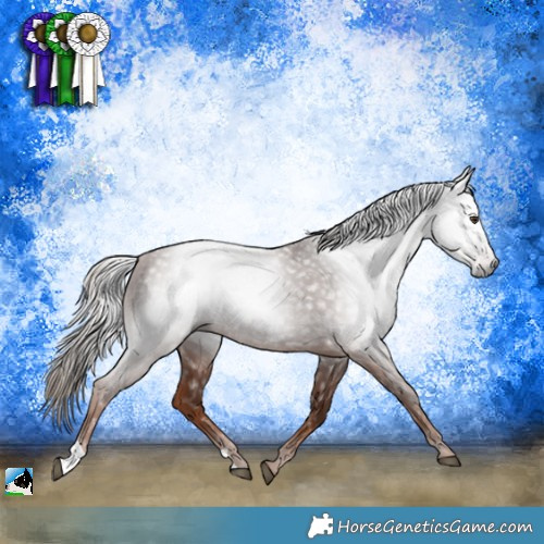 Horse Color:Gray Chestnut Rabicano 