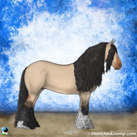 Horse Color:Brown Dun Tobiano Rabicano
