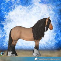 Horse Color:Brown Dun Tobiano Rabicano