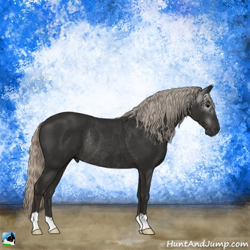 Horse Color:Gray Silver Black Rabicano 