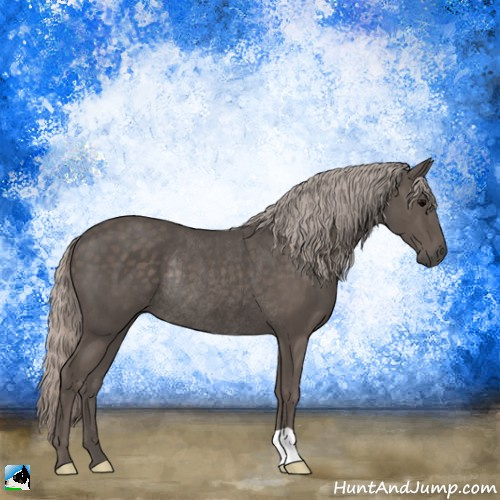 Horse Color:Silver Black Rabicano 
