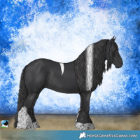 Horse Color:Black Tobiano Rabicano 