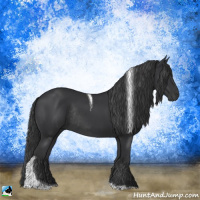 Horse Color:Black Tobiano Rabicano 