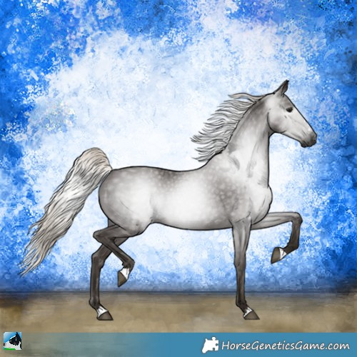 Horse Color:Gray Silver Black Rabicano 
