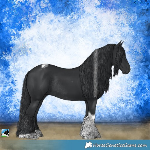 Horse Color:Black Tobiano Rabicano