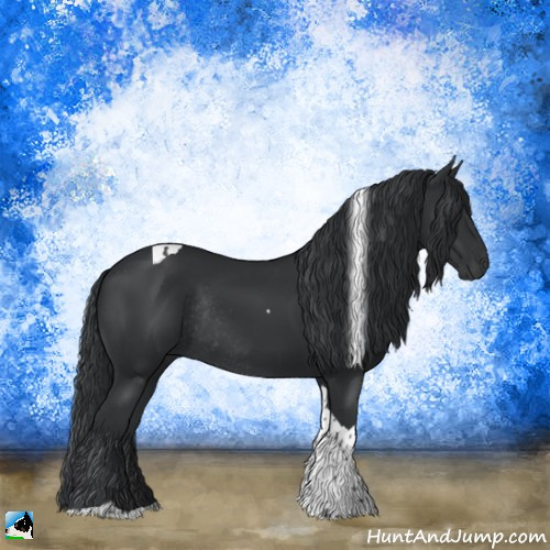 Horse Color:Black Tobiano Rabicano