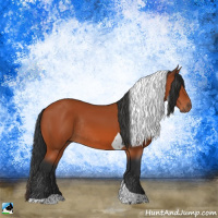 Horse Color:Bay Tobiano Rabicano 