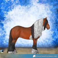 Horse Color:Bay Tobiano Rabicano 