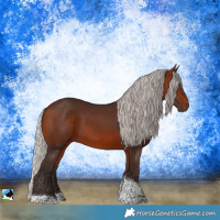 Horse Color:Silver Brown Tobiano Rabicano