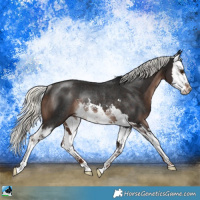 Horse Color:White Spotted Liver Chestnut Mushroom Splash Rabicano