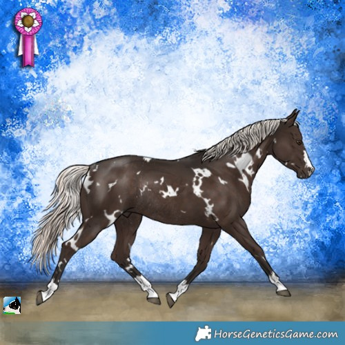 Horse Color:White Spotted Liver Chestnut Mushroom Rabicano 