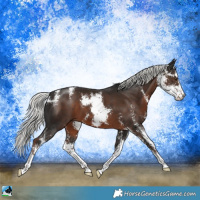 Horse Color:Liver Chestnut Mushroom Sabino 