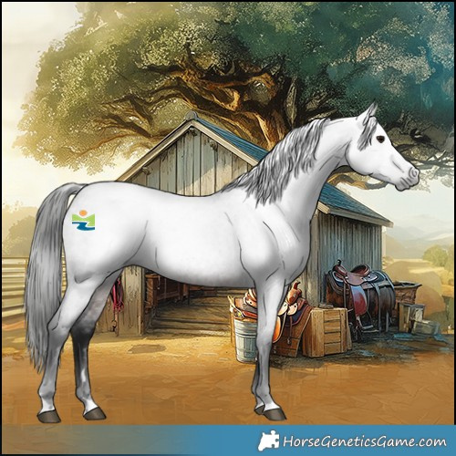 Horse Color:Gray Bay Roan 