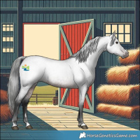 Horse Color:Gray Bay Roan 