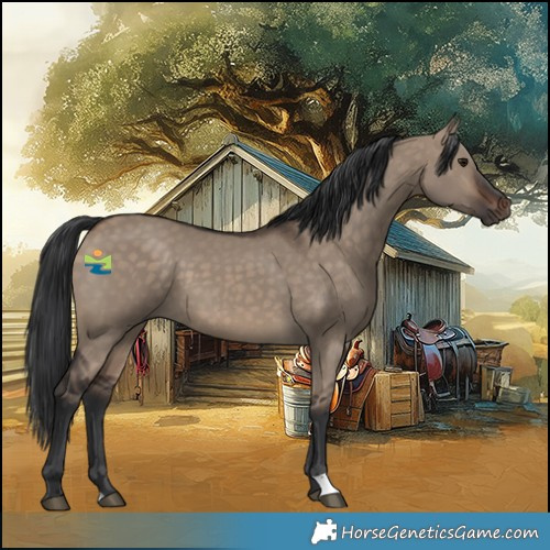 Horse Color:Brown Dun 