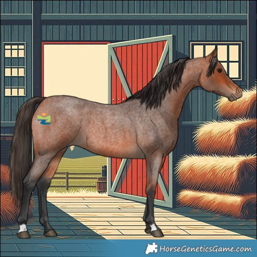 Horse Color:Bay Roan 