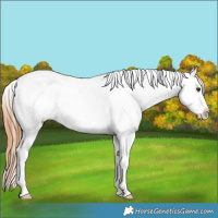 Horse Color:Bay Dun Tobiano Near Leopard 