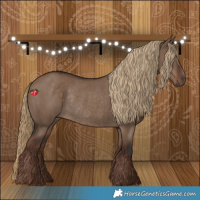 Horse Color:Liver Red Dun Rabicano